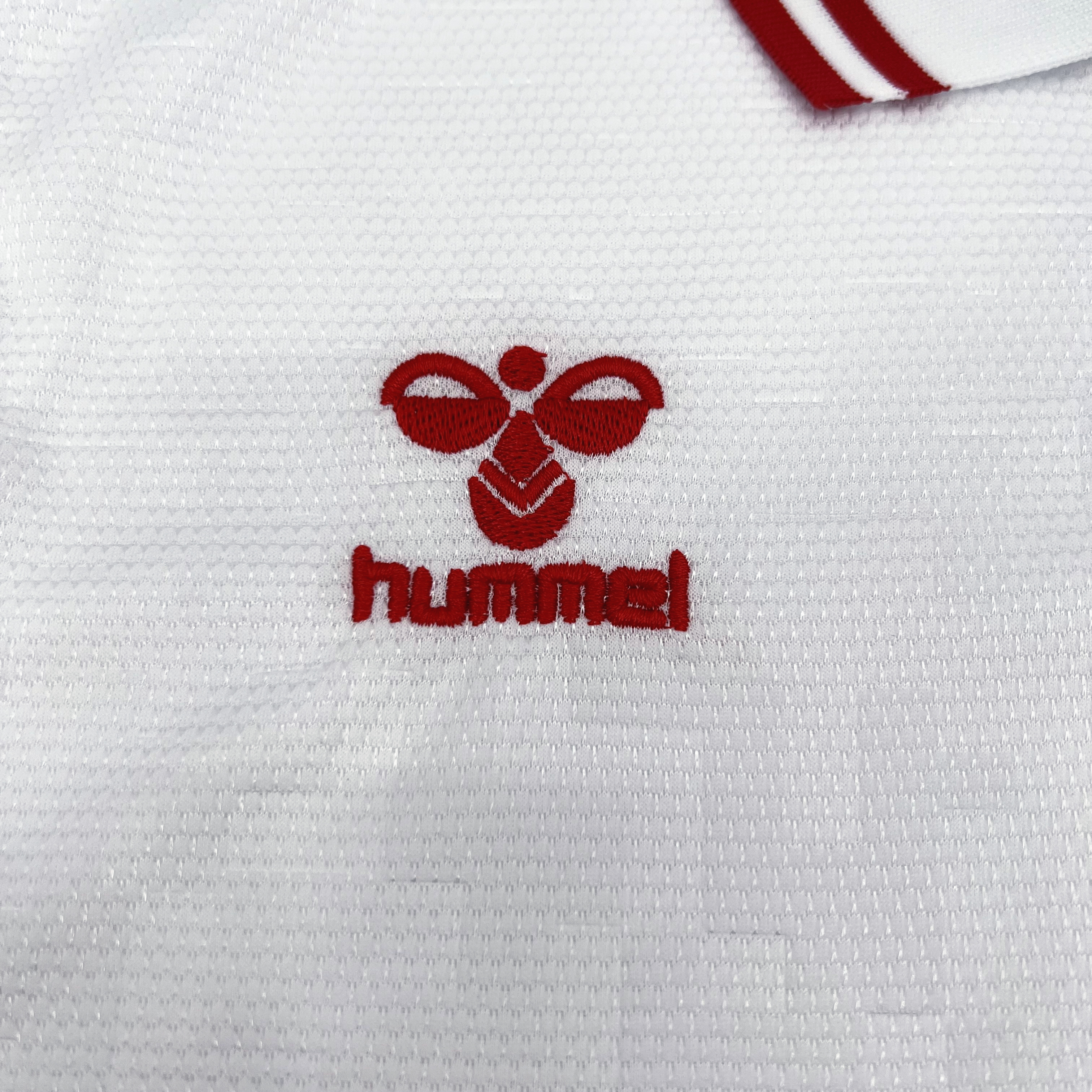 Denmark Euro Away Jersey 2024-25