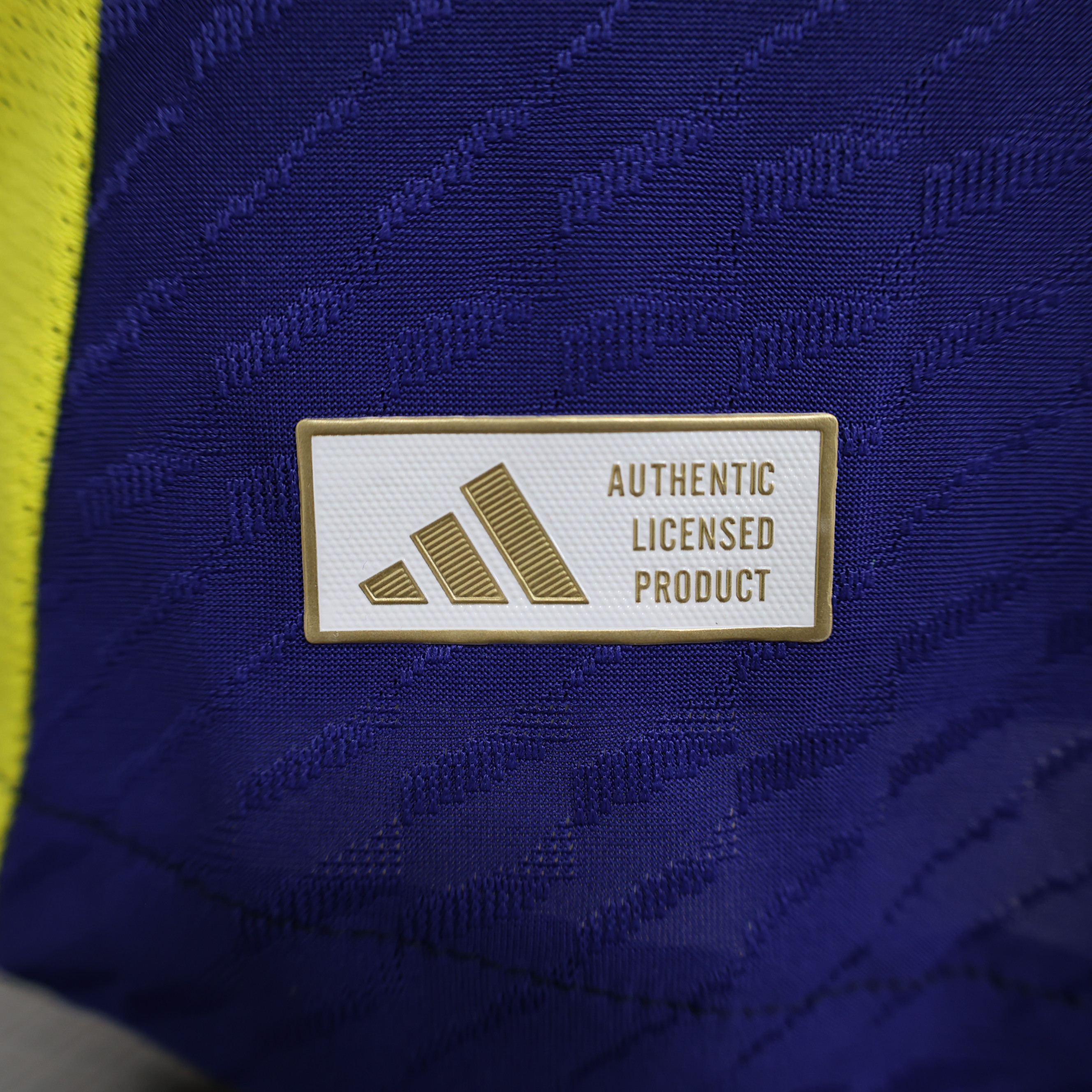 Players Real Madrid Blue 2024/25