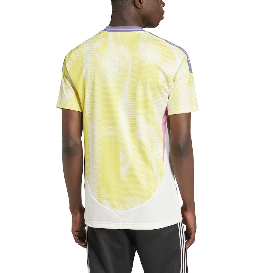 Juventus_2024_25_away jersey