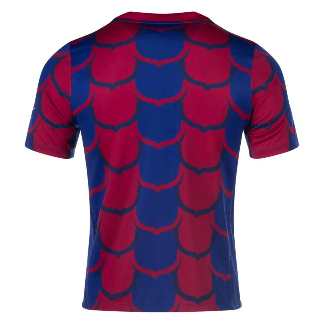 Barcelona pre-match training special edition jersey_2023_24