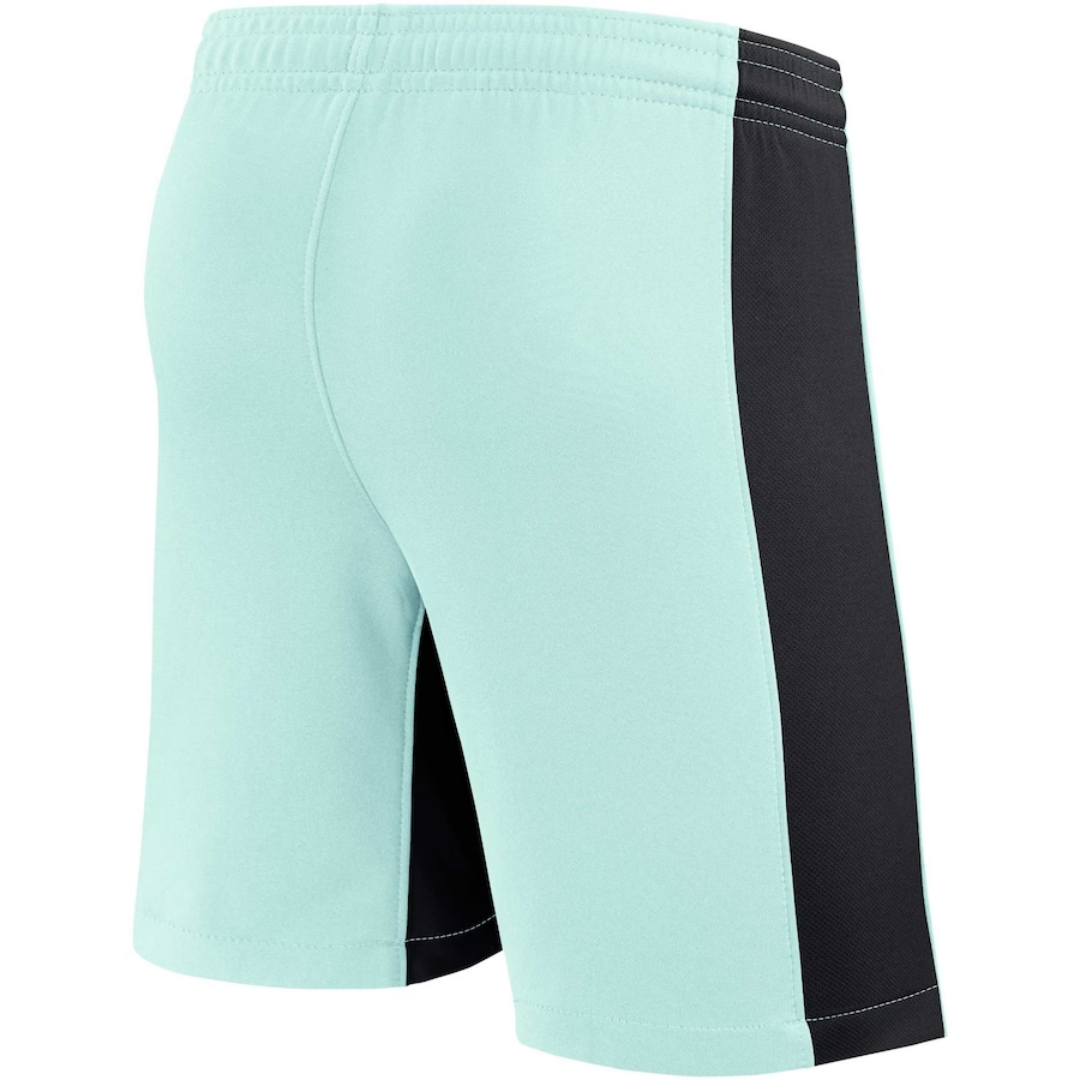 Chelsea third jersey + shorts_2023_24