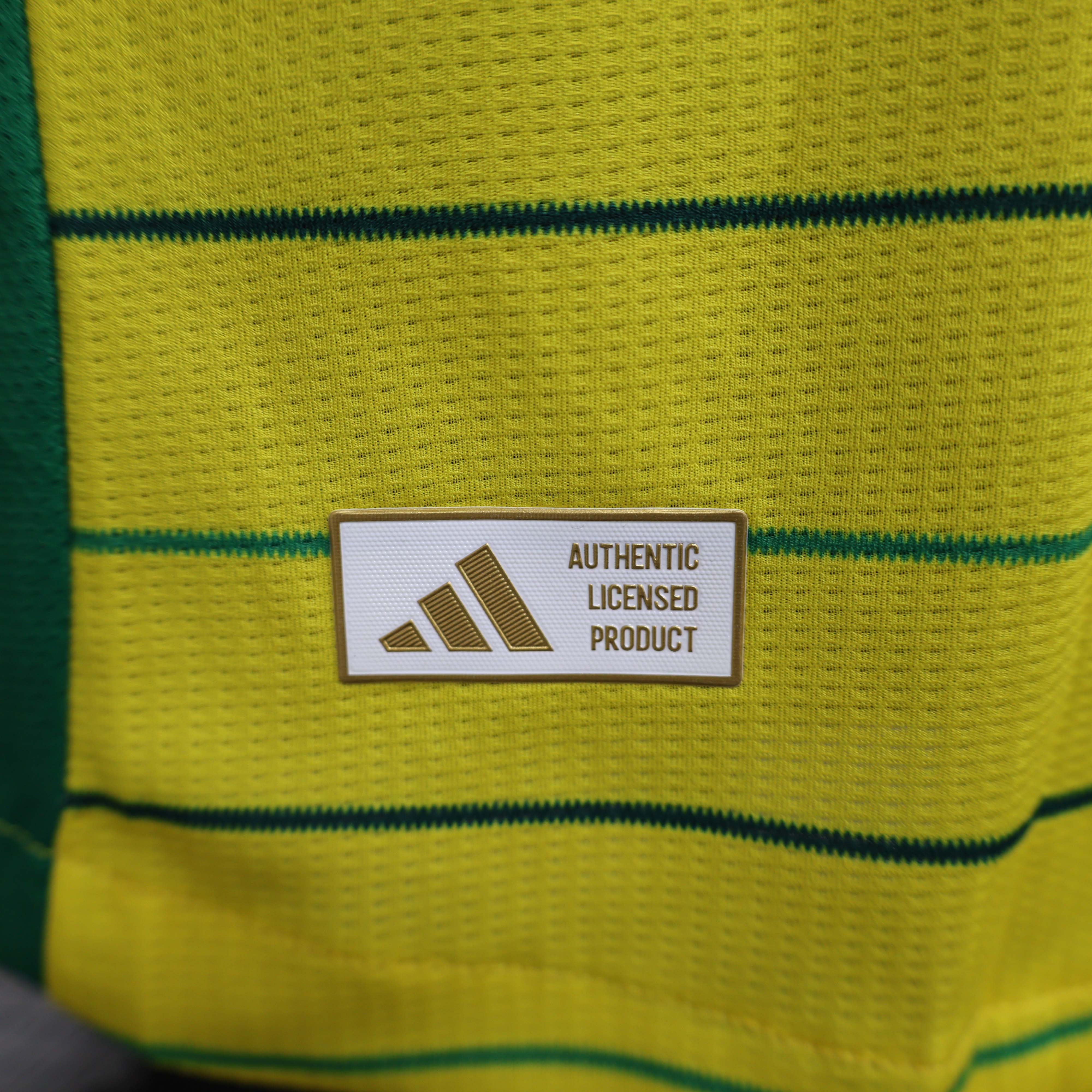 2024/2025 Player Version Celtic Away Football Shirt 1:1 Thai Quality