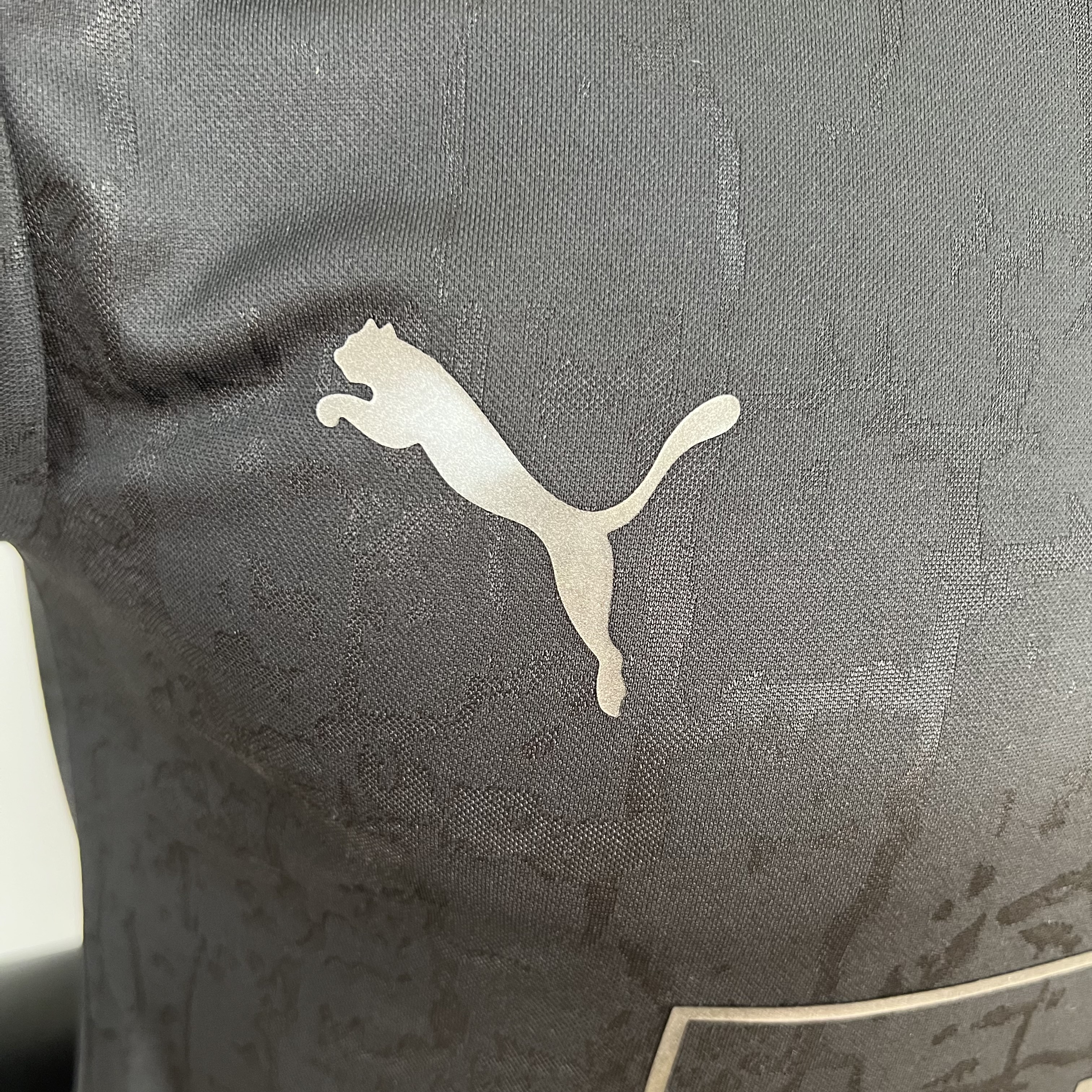 Player Version Dortmund Special Edition 2023/24