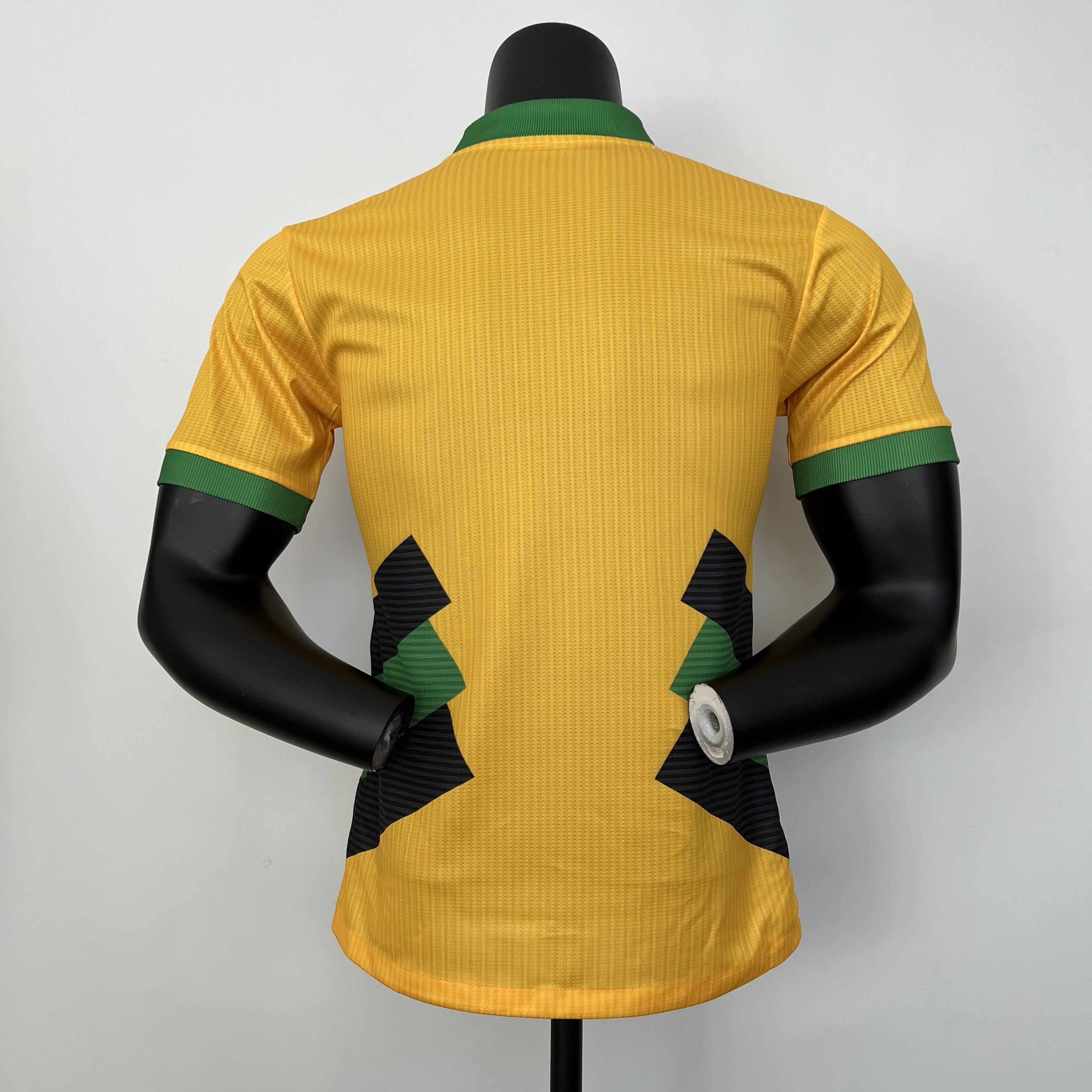 player version Bayern Munich 2023/24