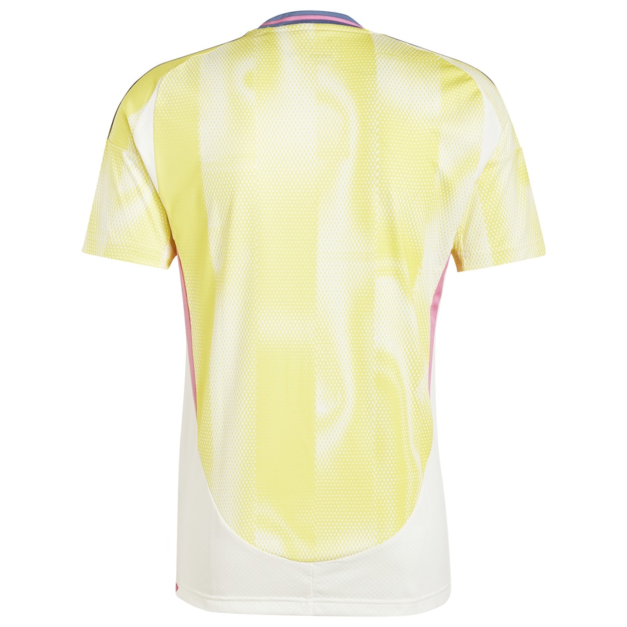 Juventus_2024_25_away jersey