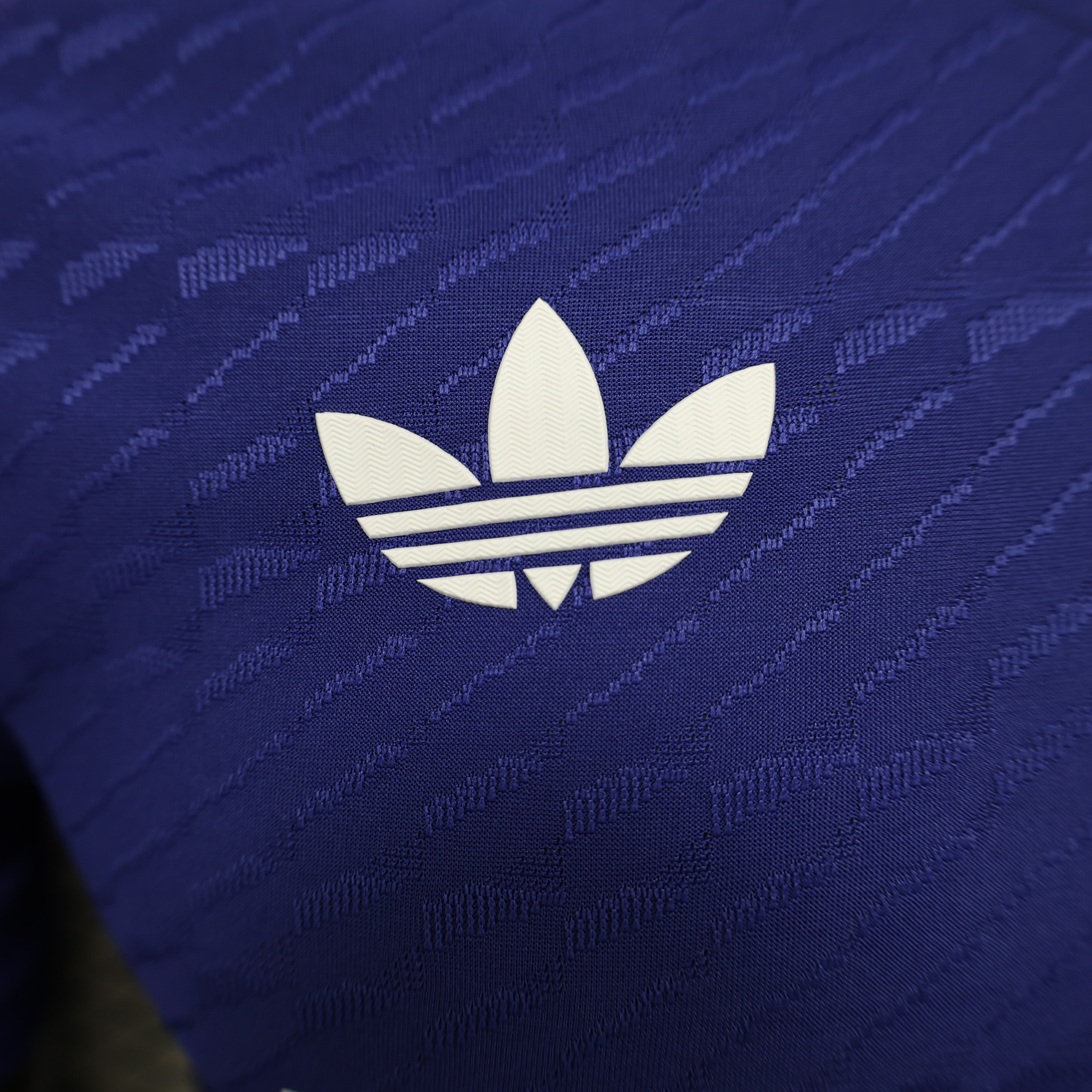 Players Real Madrid Blue 2024/25