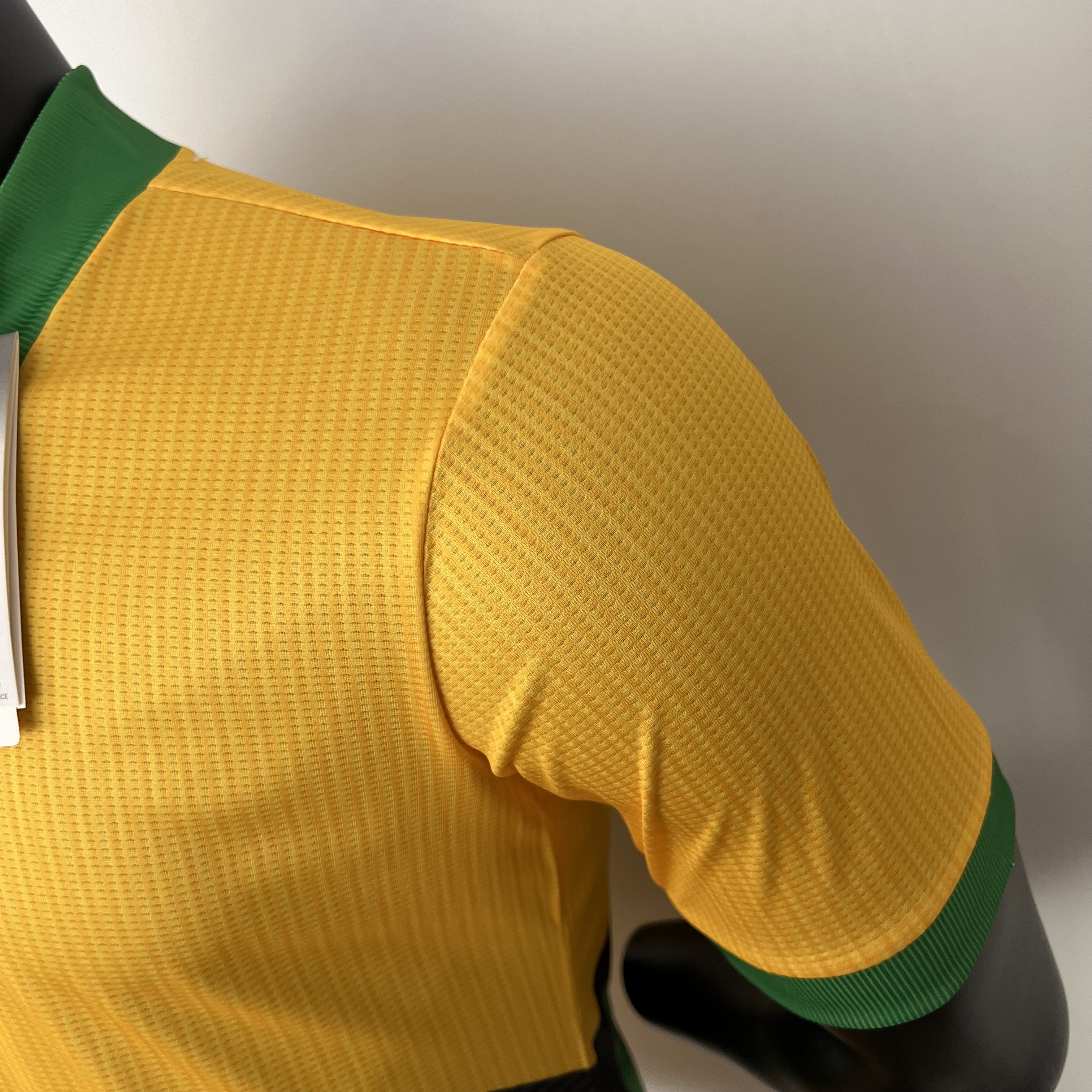 player version Bayern Munich 2023/24