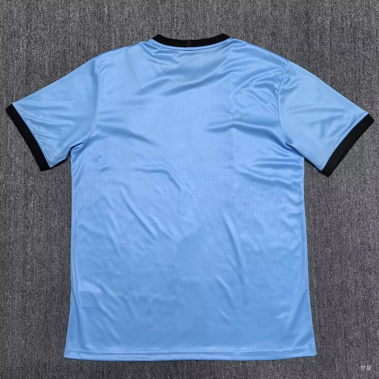 2025-2026 Germany 125th Commemorate Anniversary Blue Soccer Jersey 1:1 Thai Quality