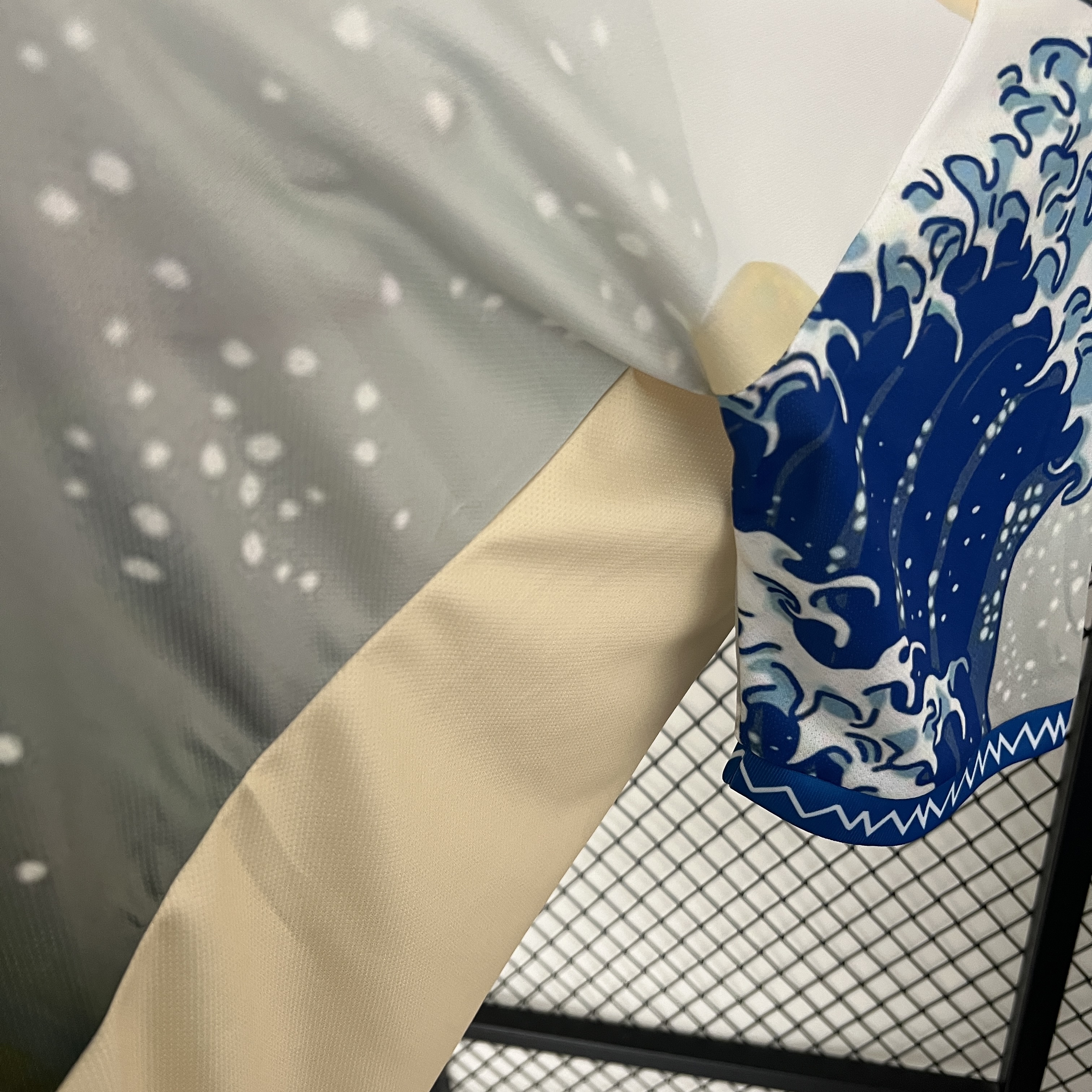 Japan Special Edition 2024