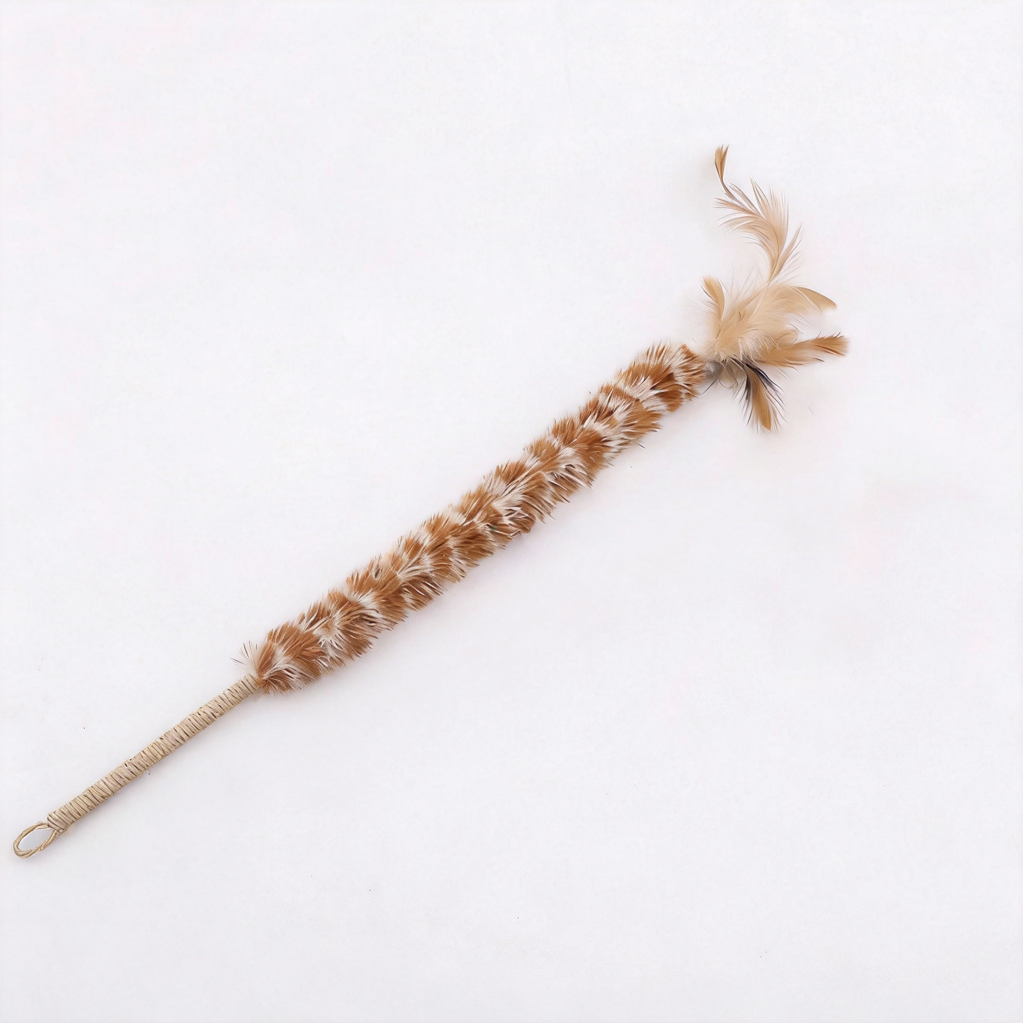 Interactive Feather Cat Wand Toy