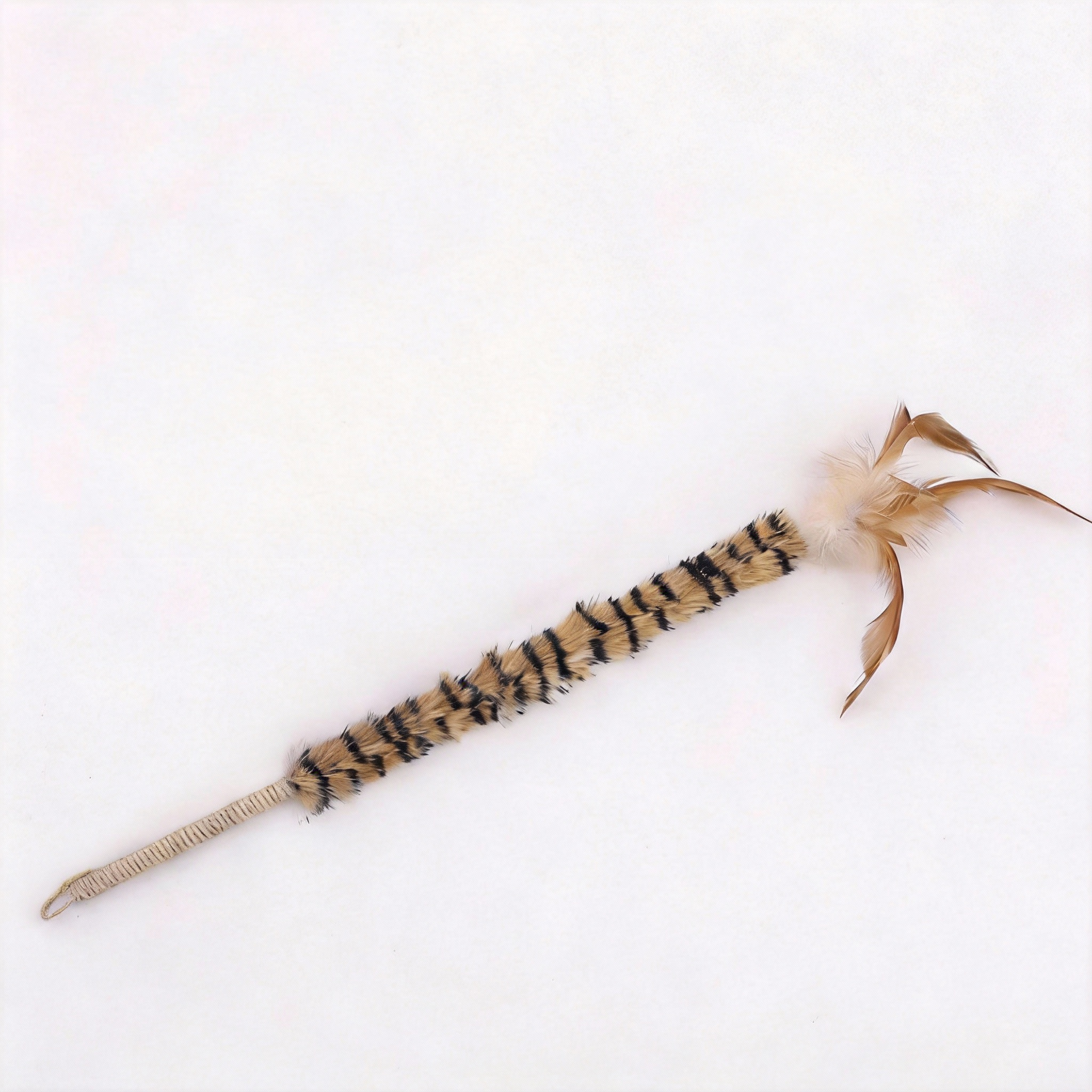Interactive Feather Cat Wand Toy