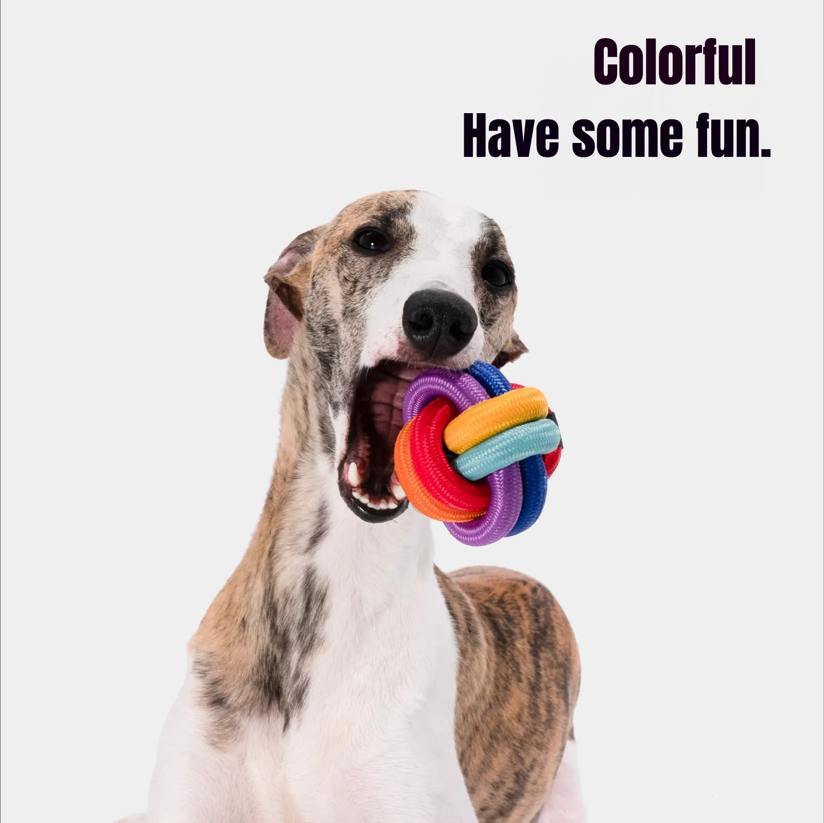 Puppy Teething Toy & Dental Cleaner Ball - Textured Rope Ball for Oral Hygiene and Gum Relief