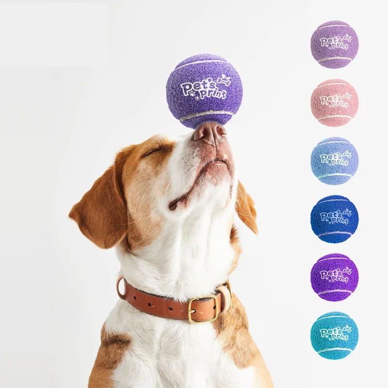 Silent Indoor Fetch Ball for Dogs - Noise-Free Elastic Tennis Ball for Apartment Play