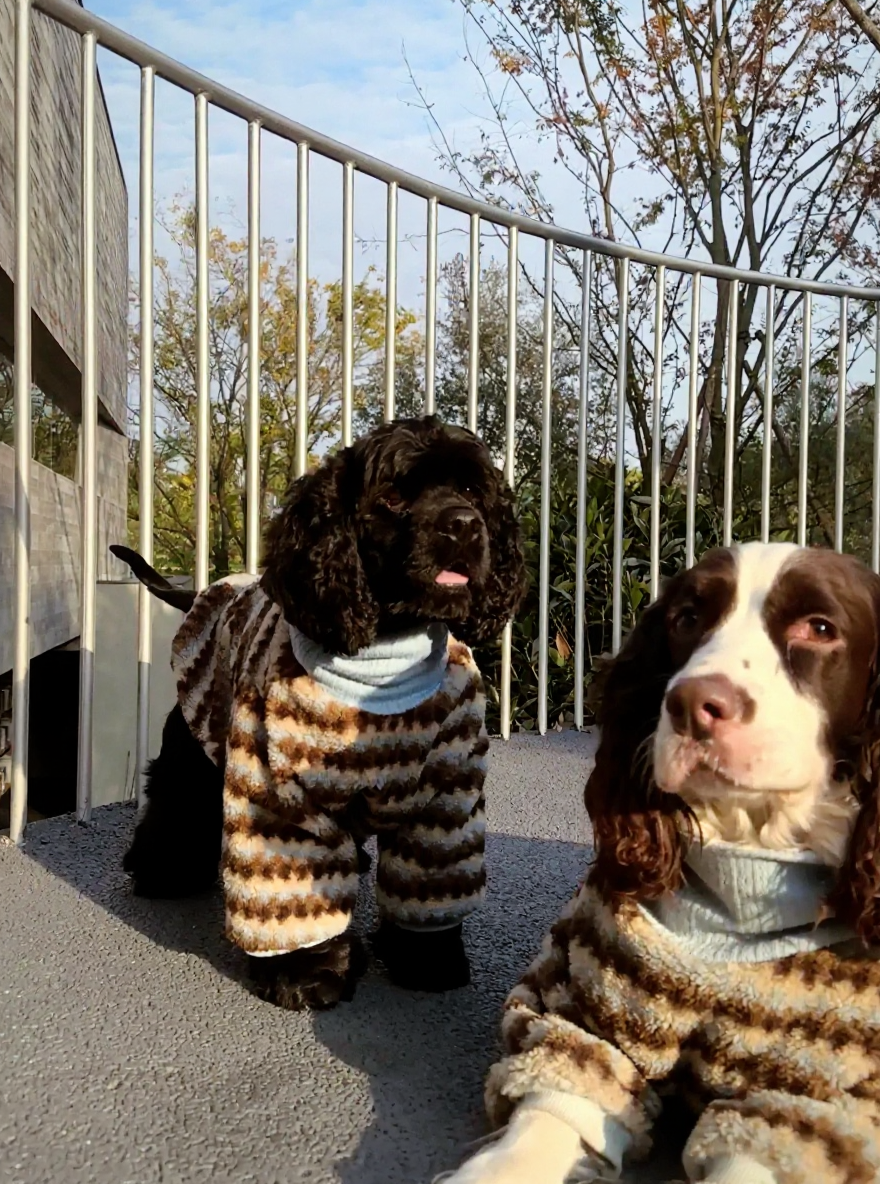 Premium Handmade Sherpa Dog Hoodie - Ultra-Thickened Winter Jacket for Small to Large Dogs