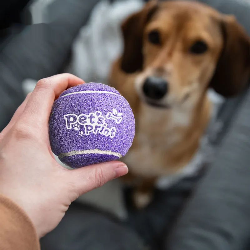 Silent Indoor Fetch Ball for Dogs - Noise-Free Elastic Tennis Ball for Apartment Play