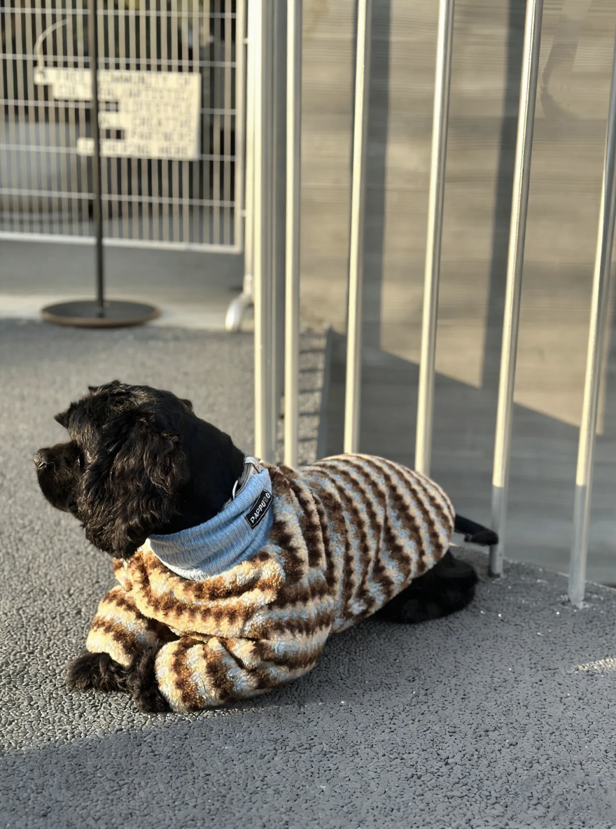 Premium Handmade Sherpa Dog Hoodie - Ultra-Thickened Winter Jacket for Small to Large Dogs