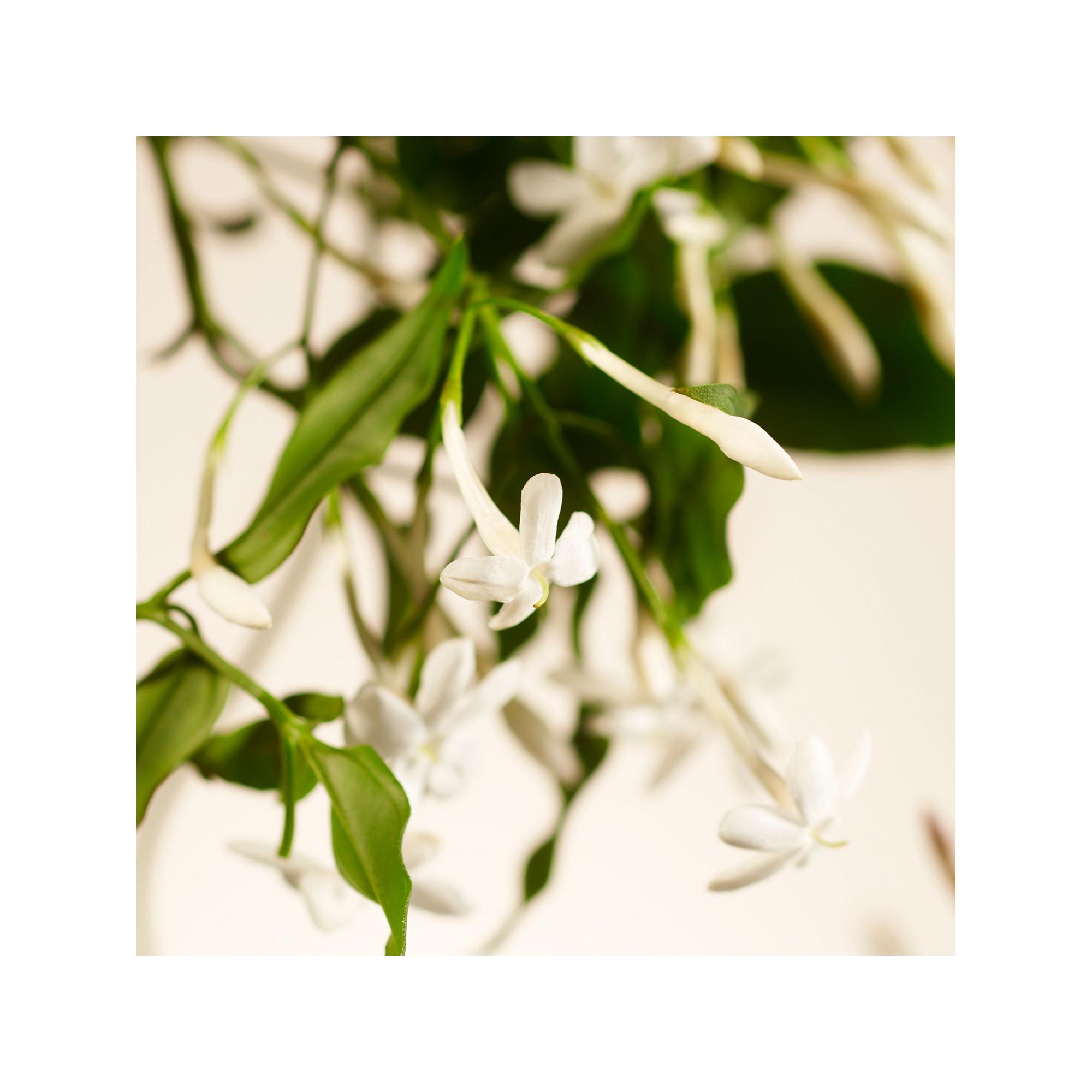 RITUALS Sweet Jasmine Concentrated Hand Wash Refill