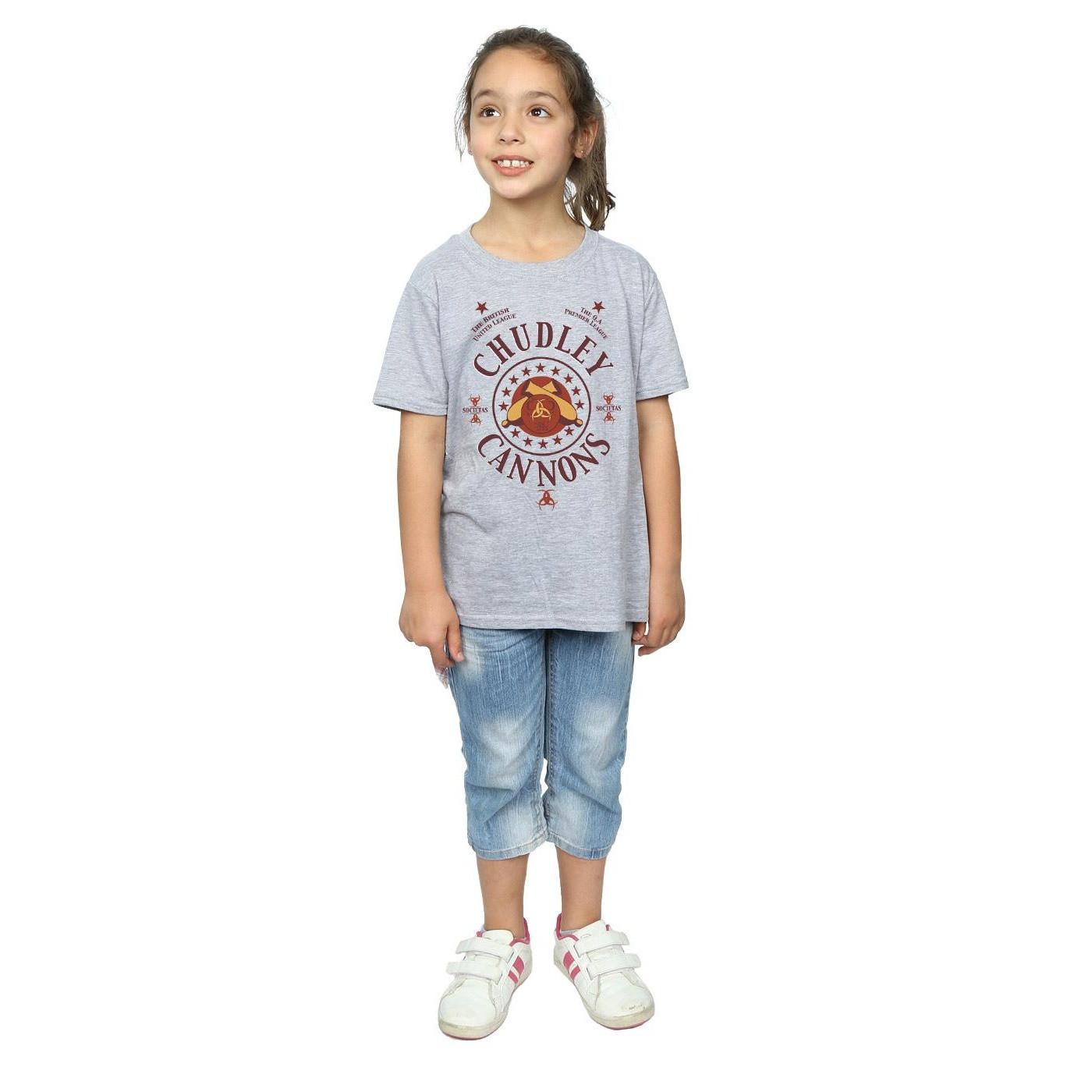 Harry Potter Chudley Cannons TShirt