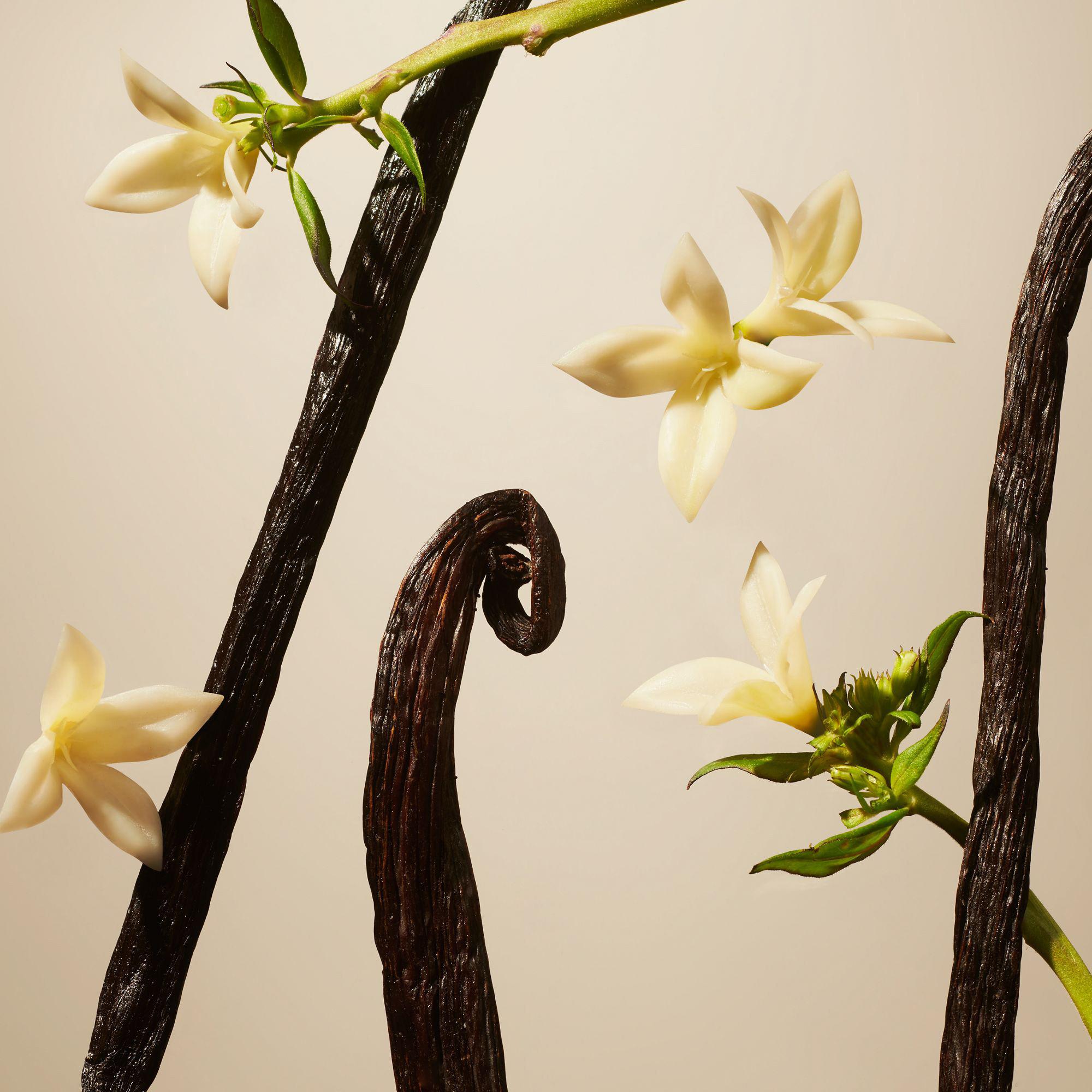 RITUALS Refill Fragrance Sticks Private Collection Suede Vanilla