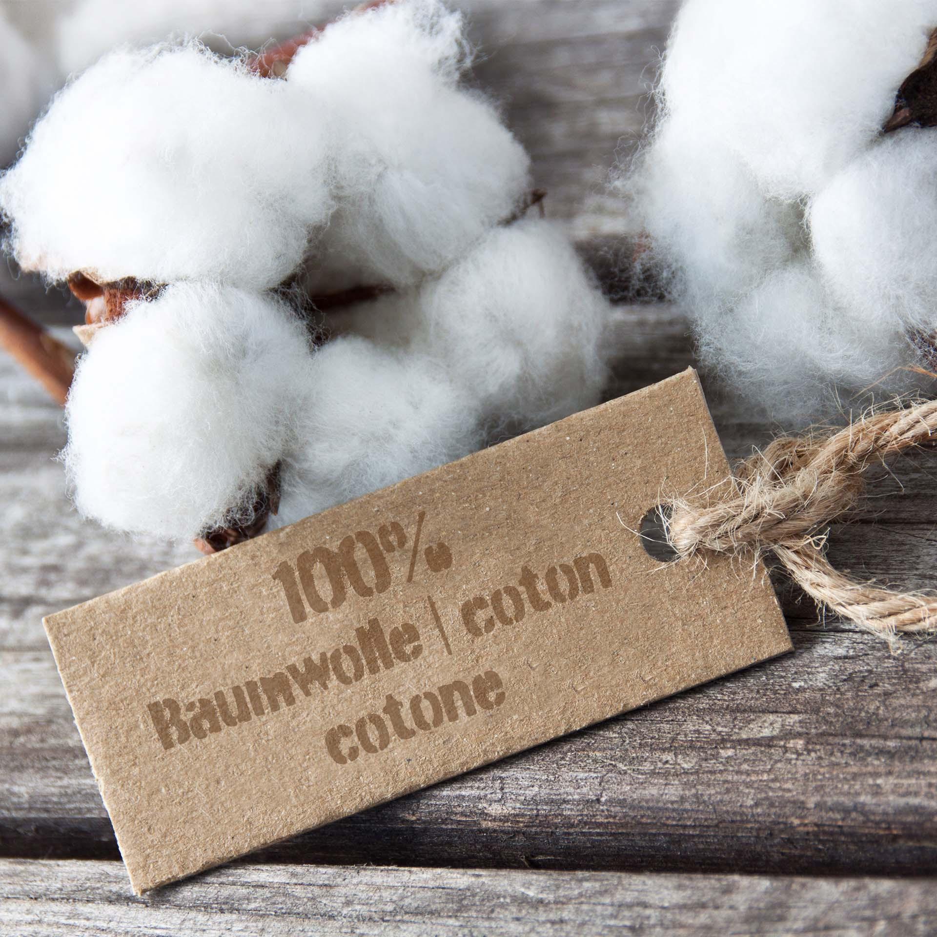 Lotus Bettwaren Lotus Kopfkissenbezug Seersucker Leonidas