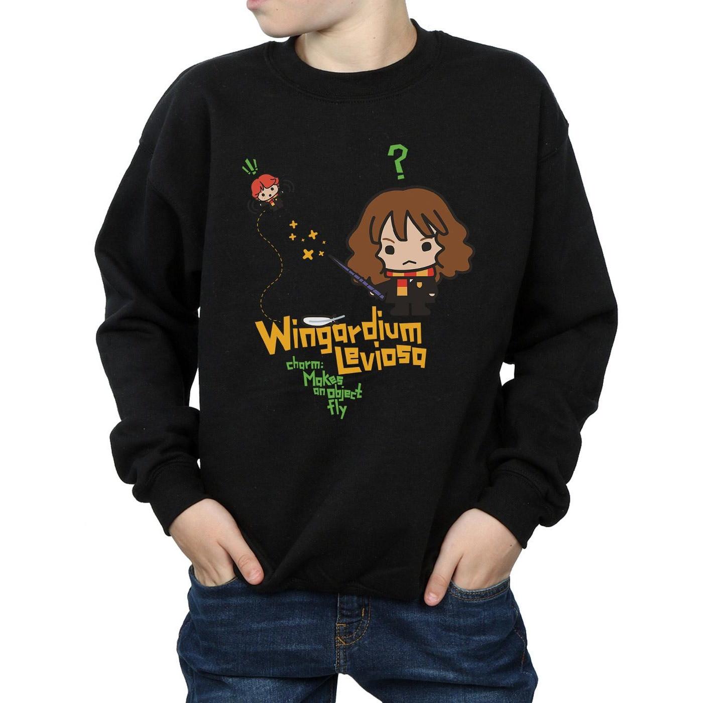 Harry Potter Wingardium Leviosa Sweatshirt