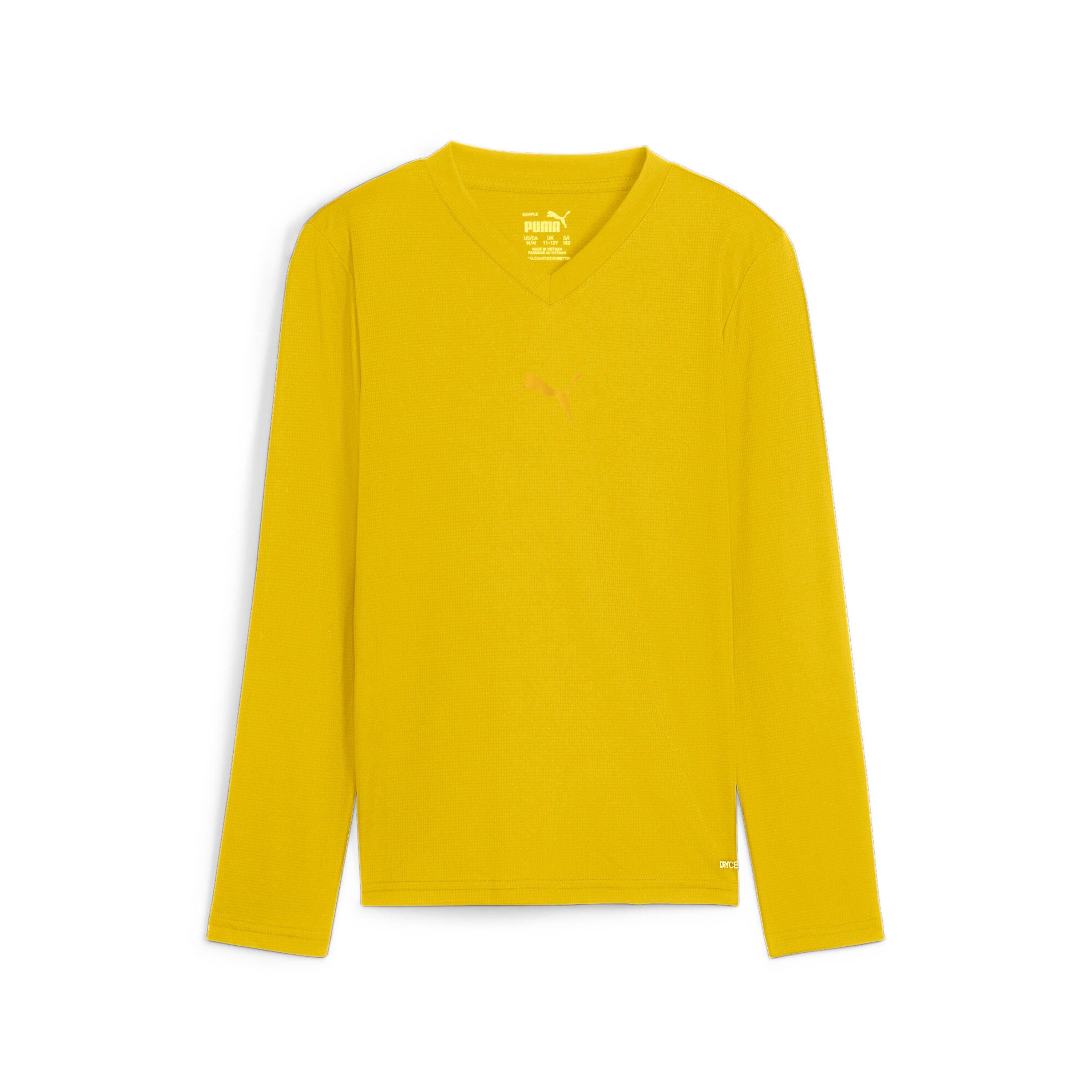 PUMA langarmshirt teamgoal baselayer
