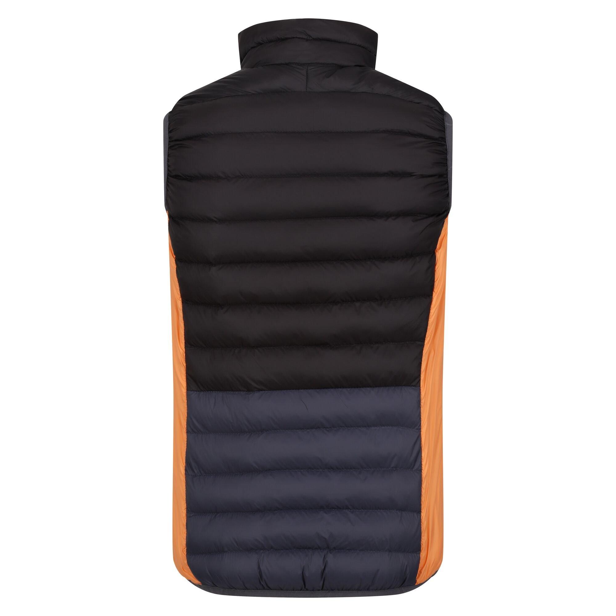 Regatta Harrock II Weste