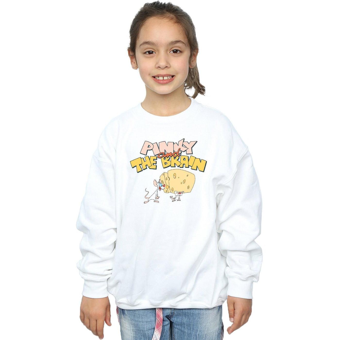 Animaniacs Sweatshirt