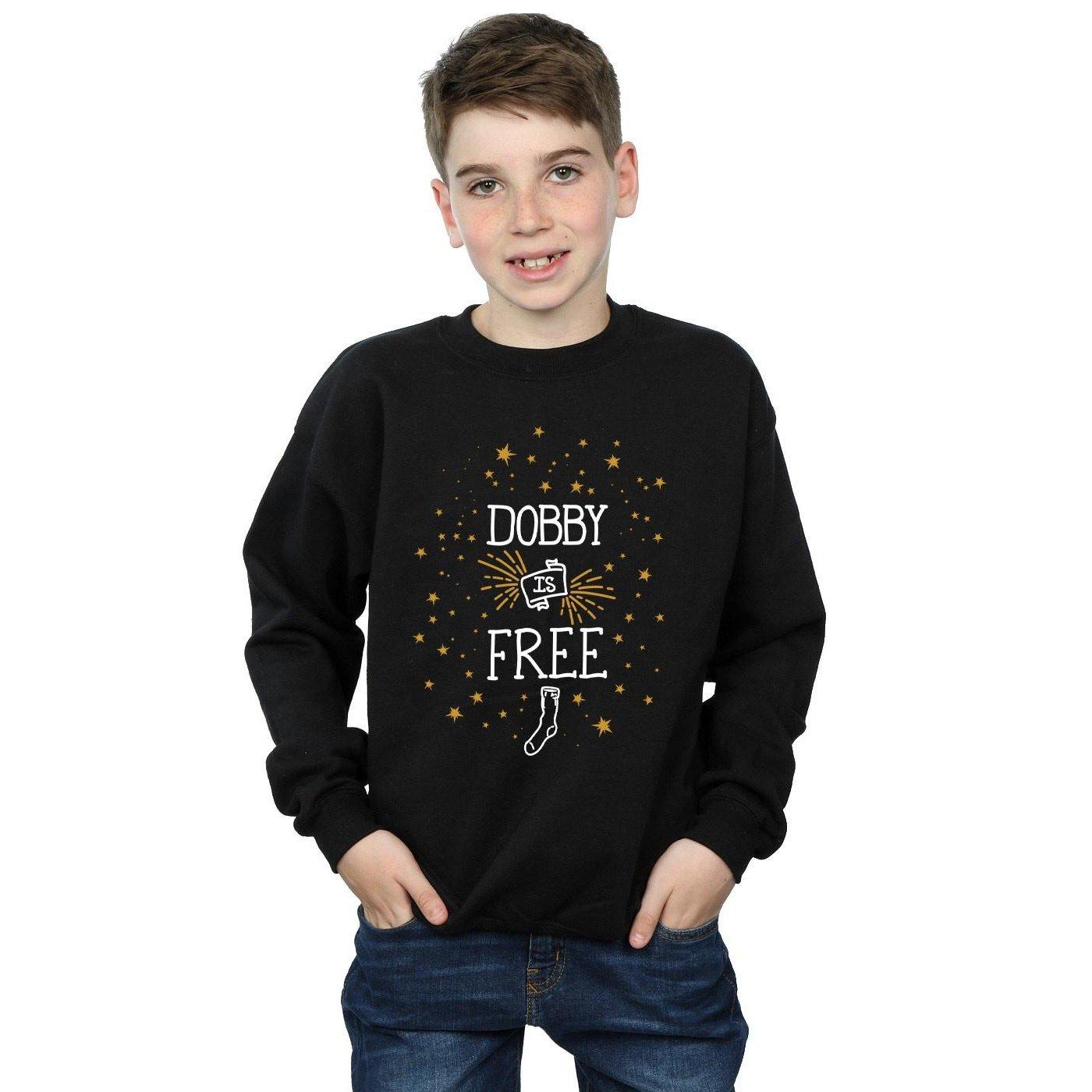 Harry Potter Dobby Is Free Sweatshirt