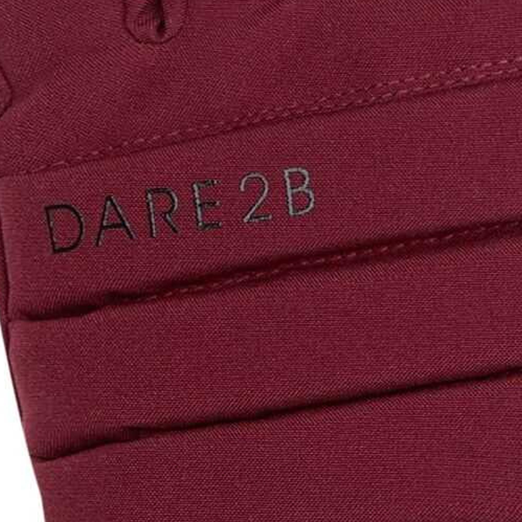 Dare 2B Logo Skihandschuhe Charisma III