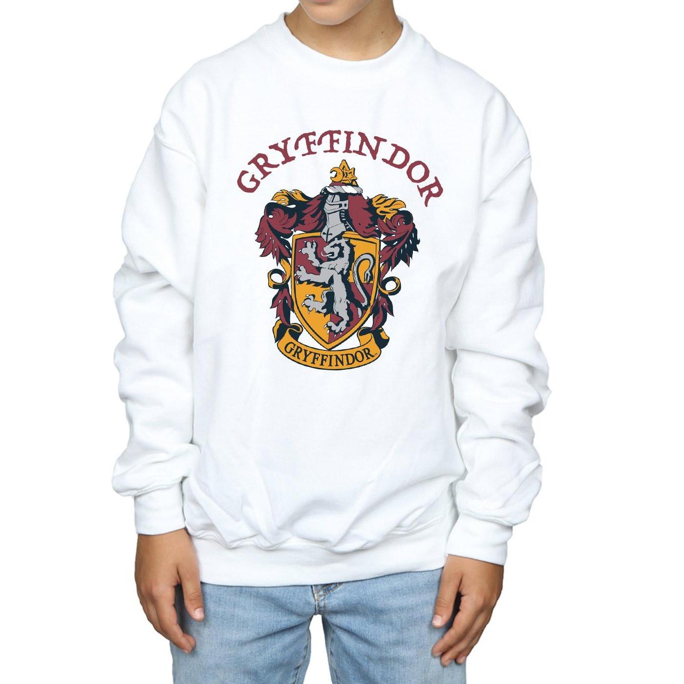 Harry Potter Sweatshirt