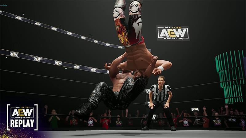 THQ NORDIC PS4 AEW: Fight Forever, PS4