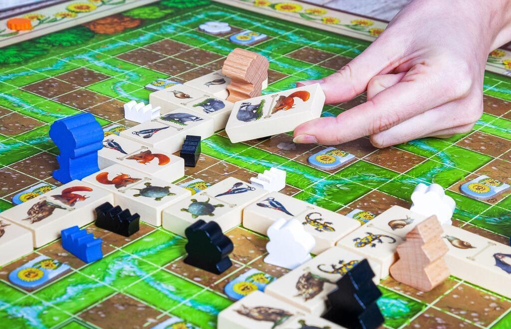 Pegasus Spiele Renature (DE)