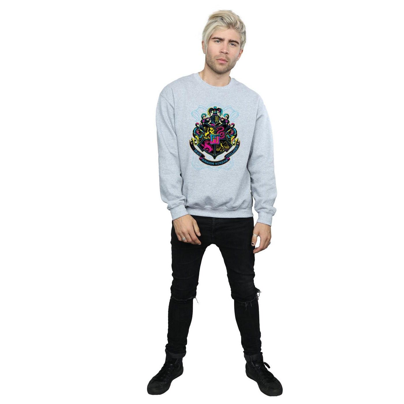 Harry Potter Hogwarts Sweatshirt