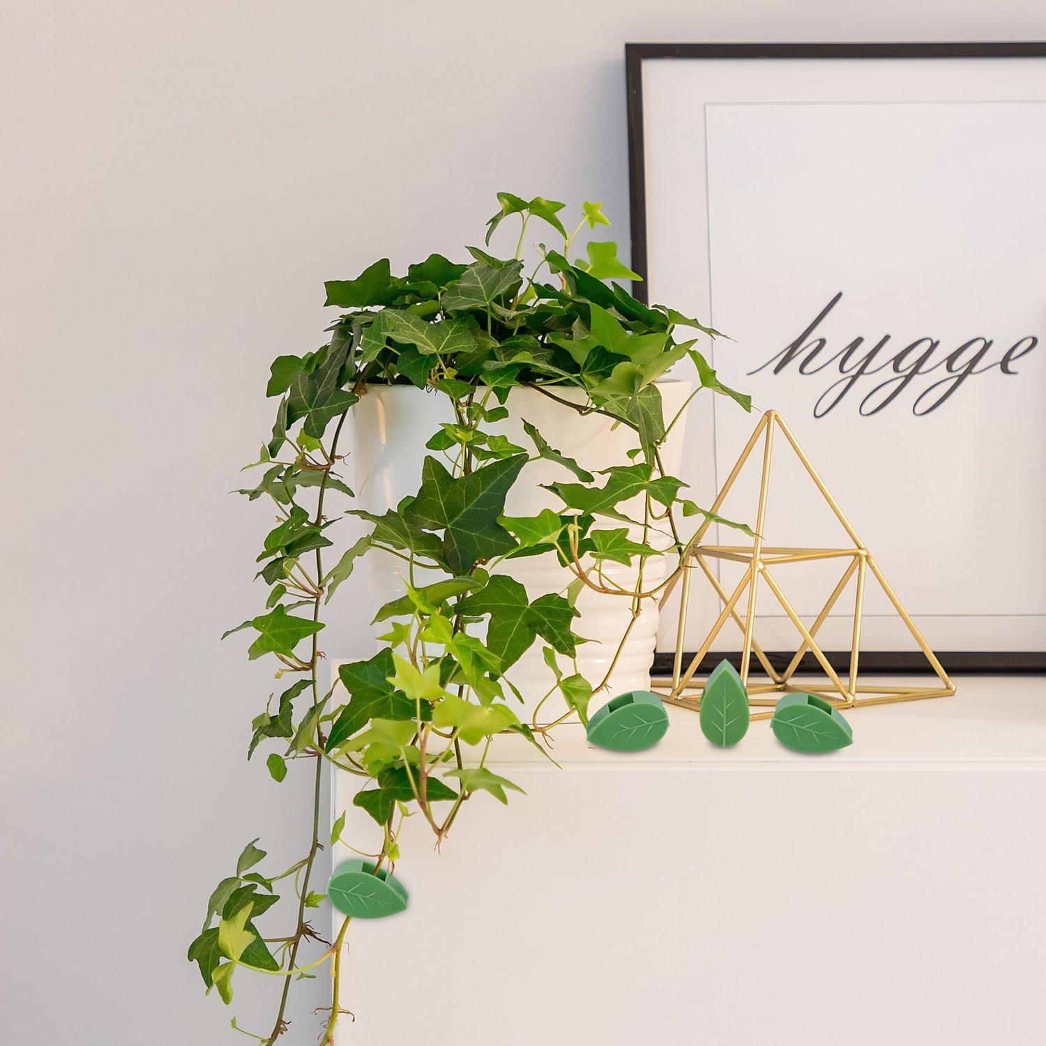 B2X Selbstklebende Pflanzenklammern im Set zu 140 Stück