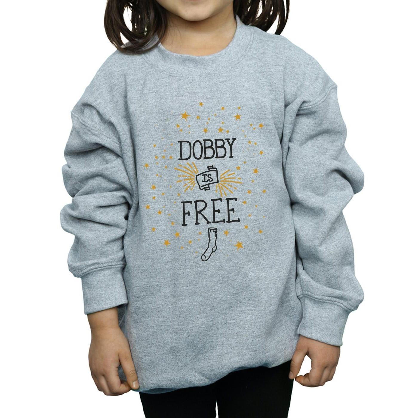 Harry Potter Dobby Is Free Sweatshirt