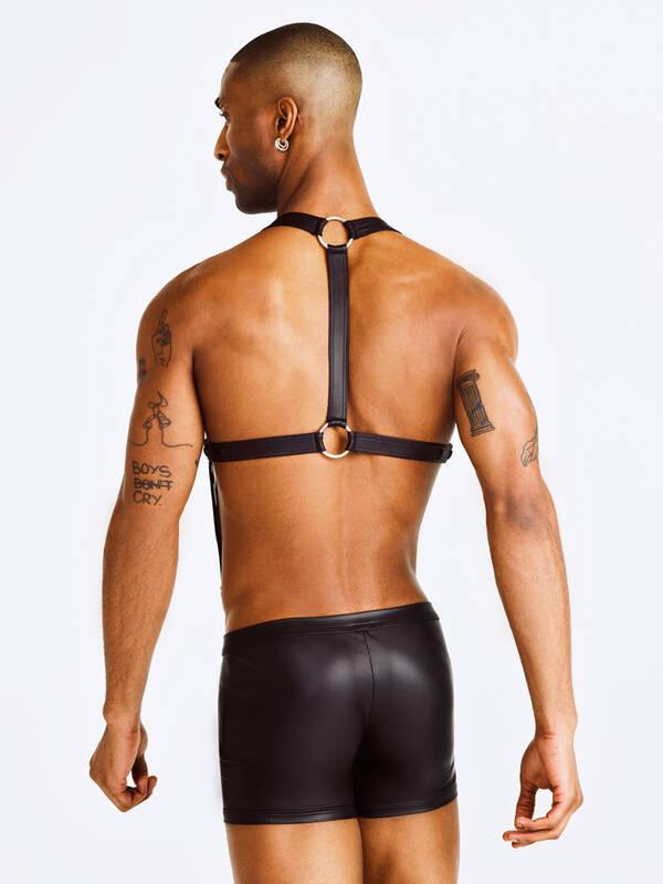 Manstore Harness