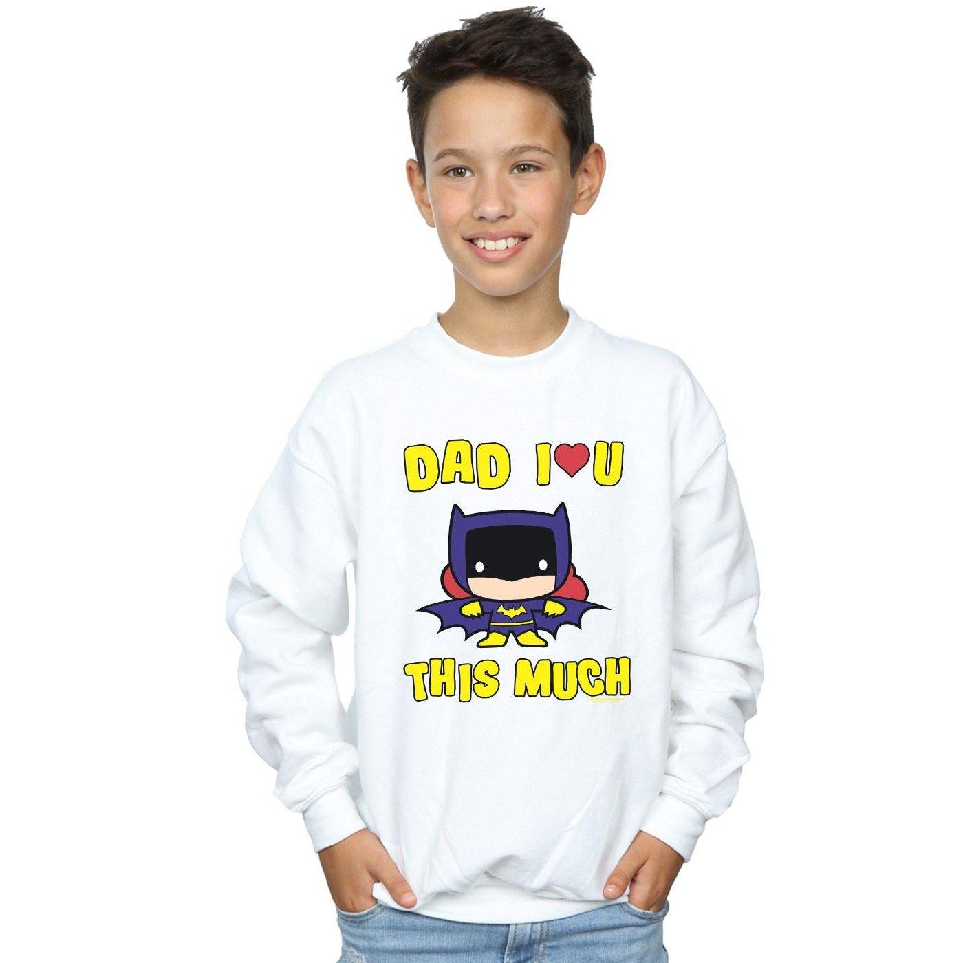 DC COMICS Dad I Love You This Much Sweatshirt