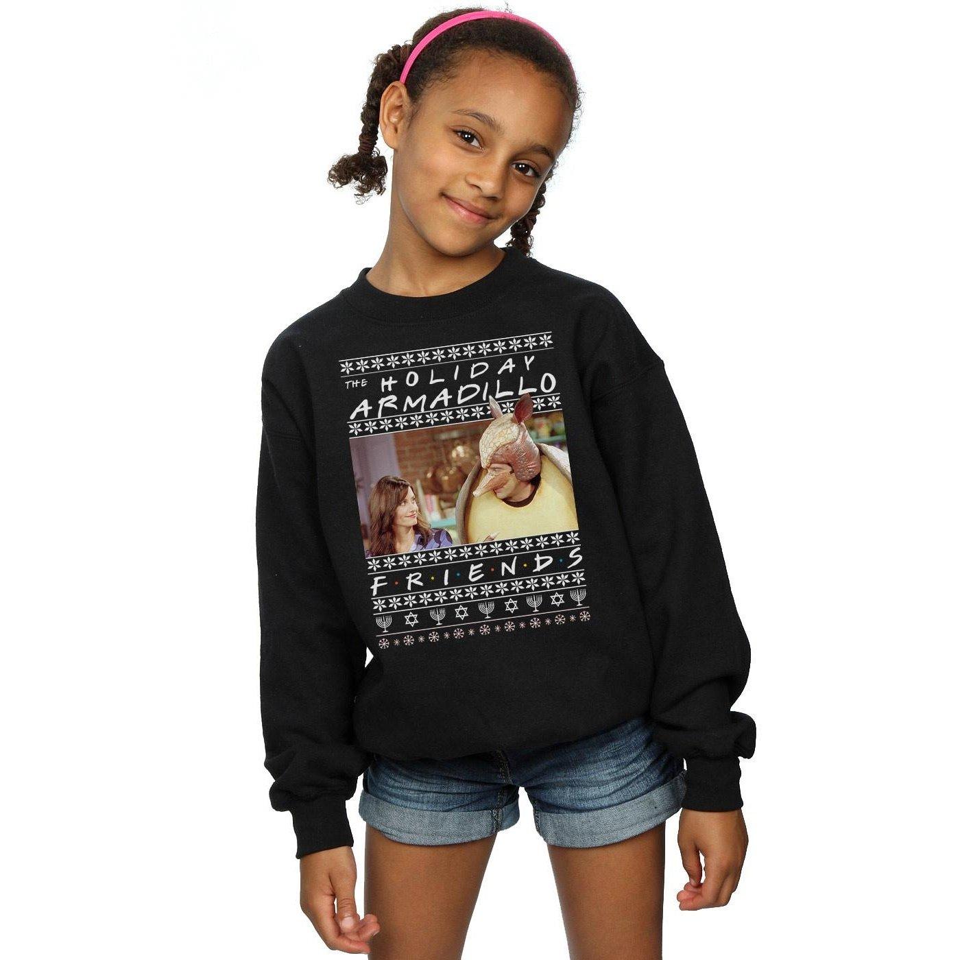 Friends Holiday Armadillo Sweatshirt