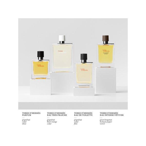 HERMÈS Terre d'Hermès, Parfum