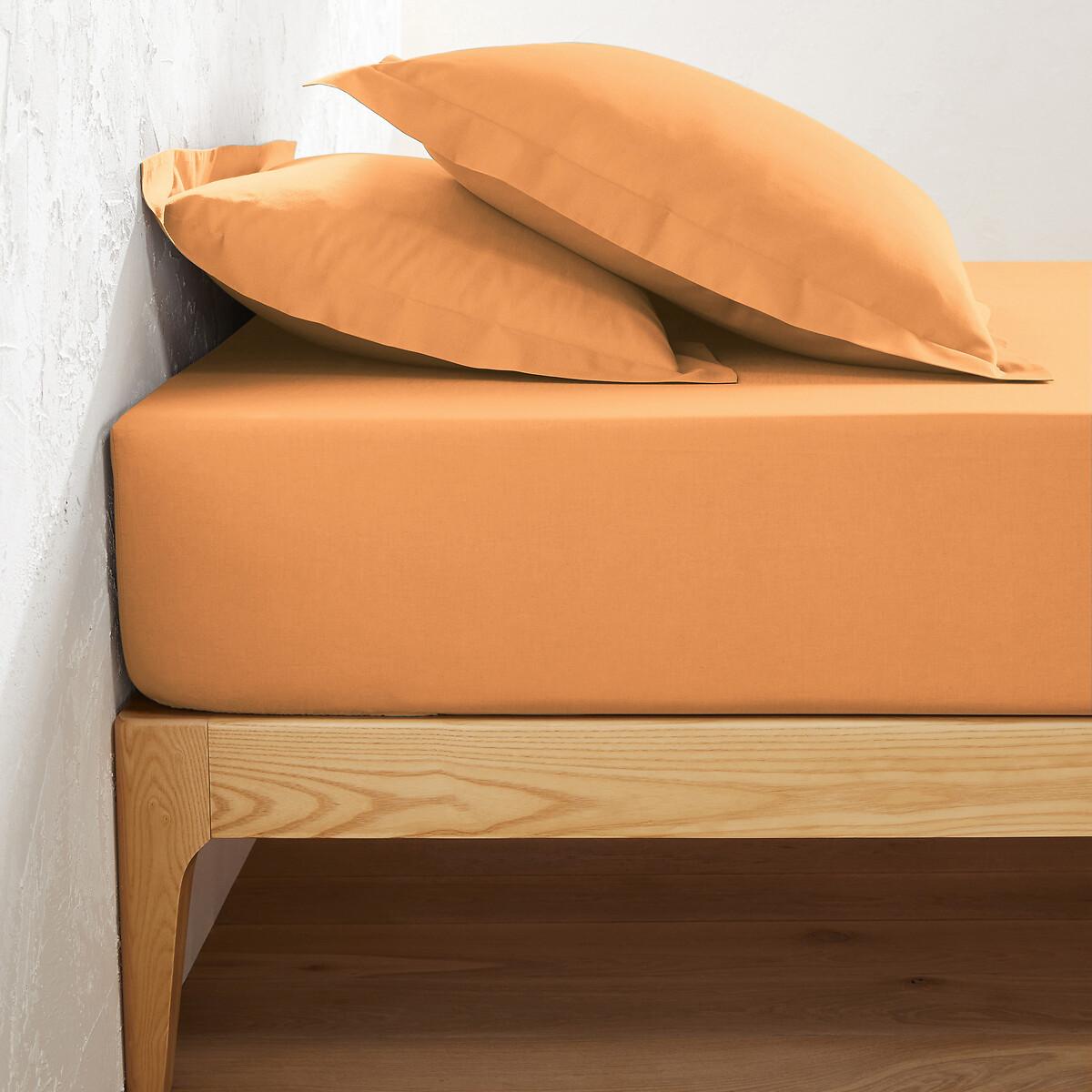 La Redoute Intérieurs Fixleintuch Scenario aus Baumwolle