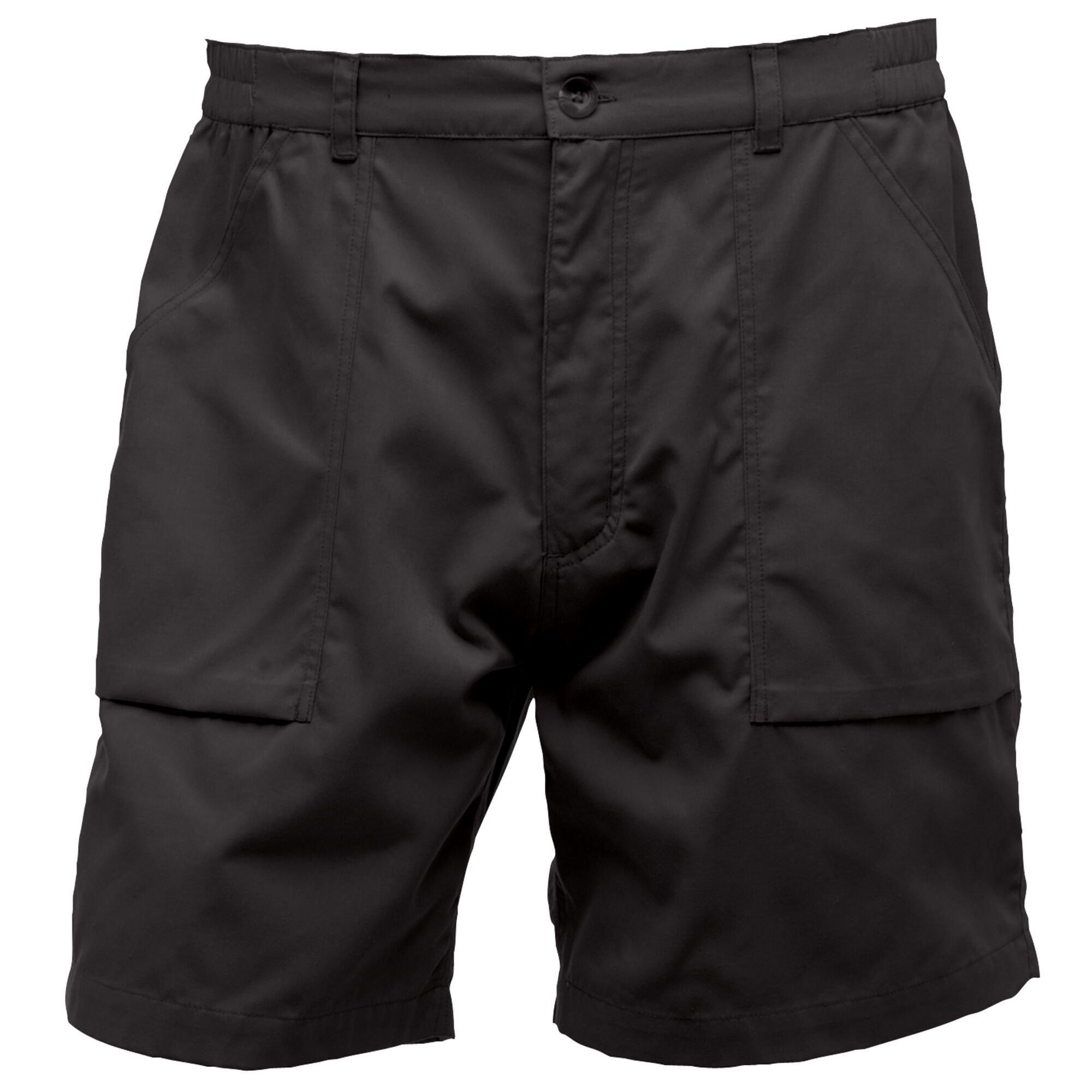 Regatta New Action Shorts