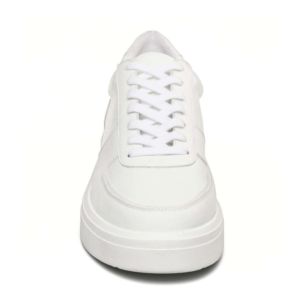 STEVE MADDEN sneakers flynn