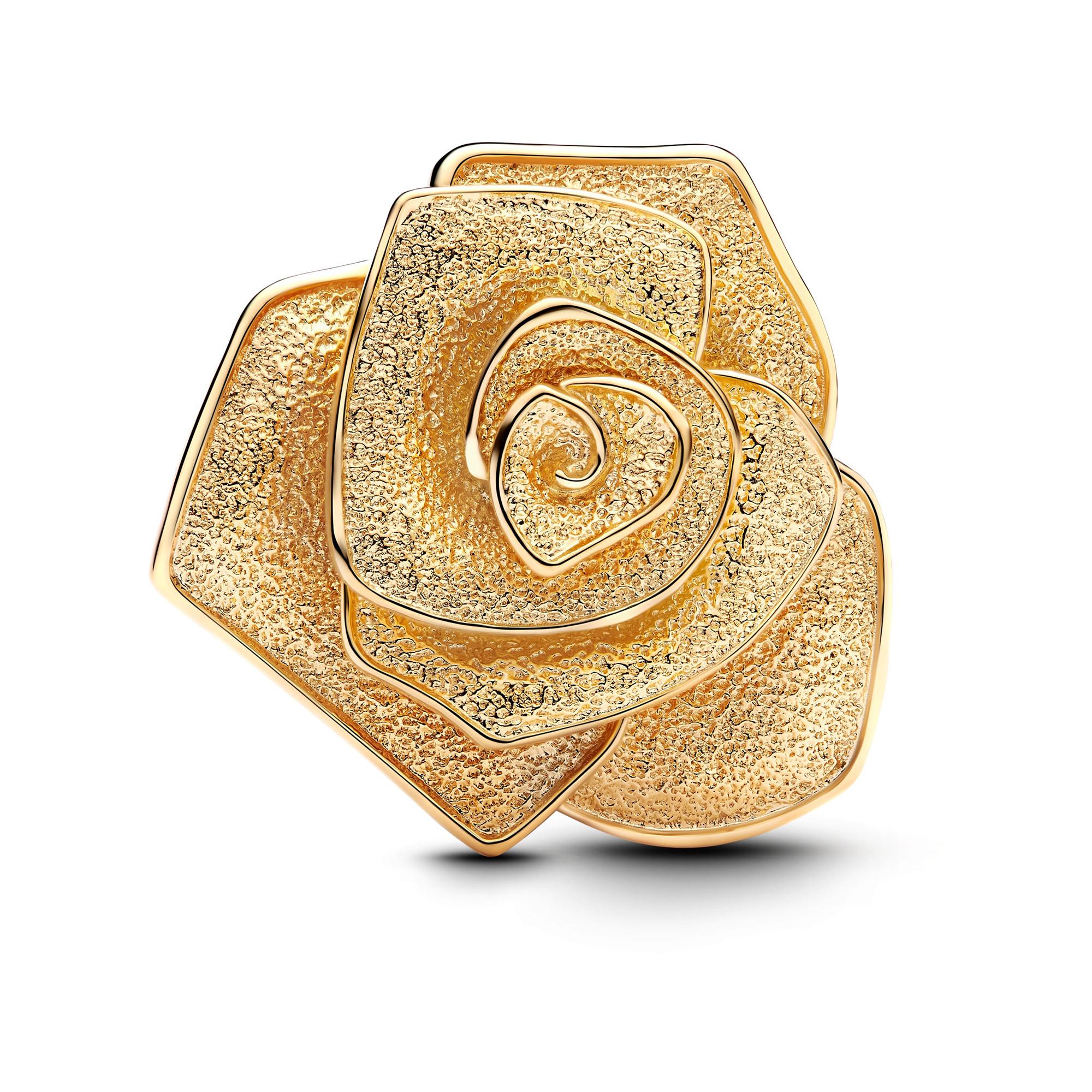PANDORA Nature and Celestial Charm