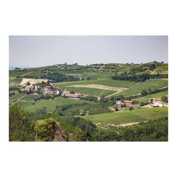 Orlando Abrigo 2014, Barbaresco Rongalio, Barbaresco DOCG