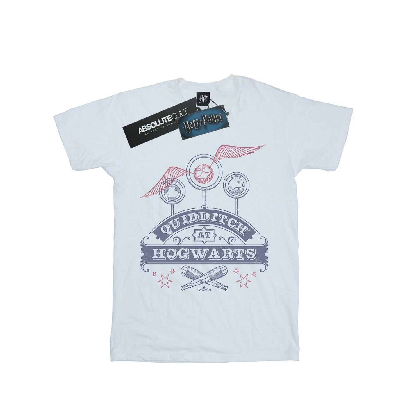 Harry Potter Quidditch At Hogwarts T-Shirt