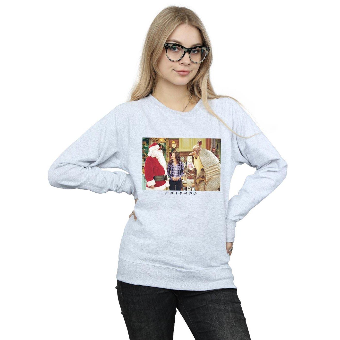 Friends Christmas Armadillo Sweatshirt