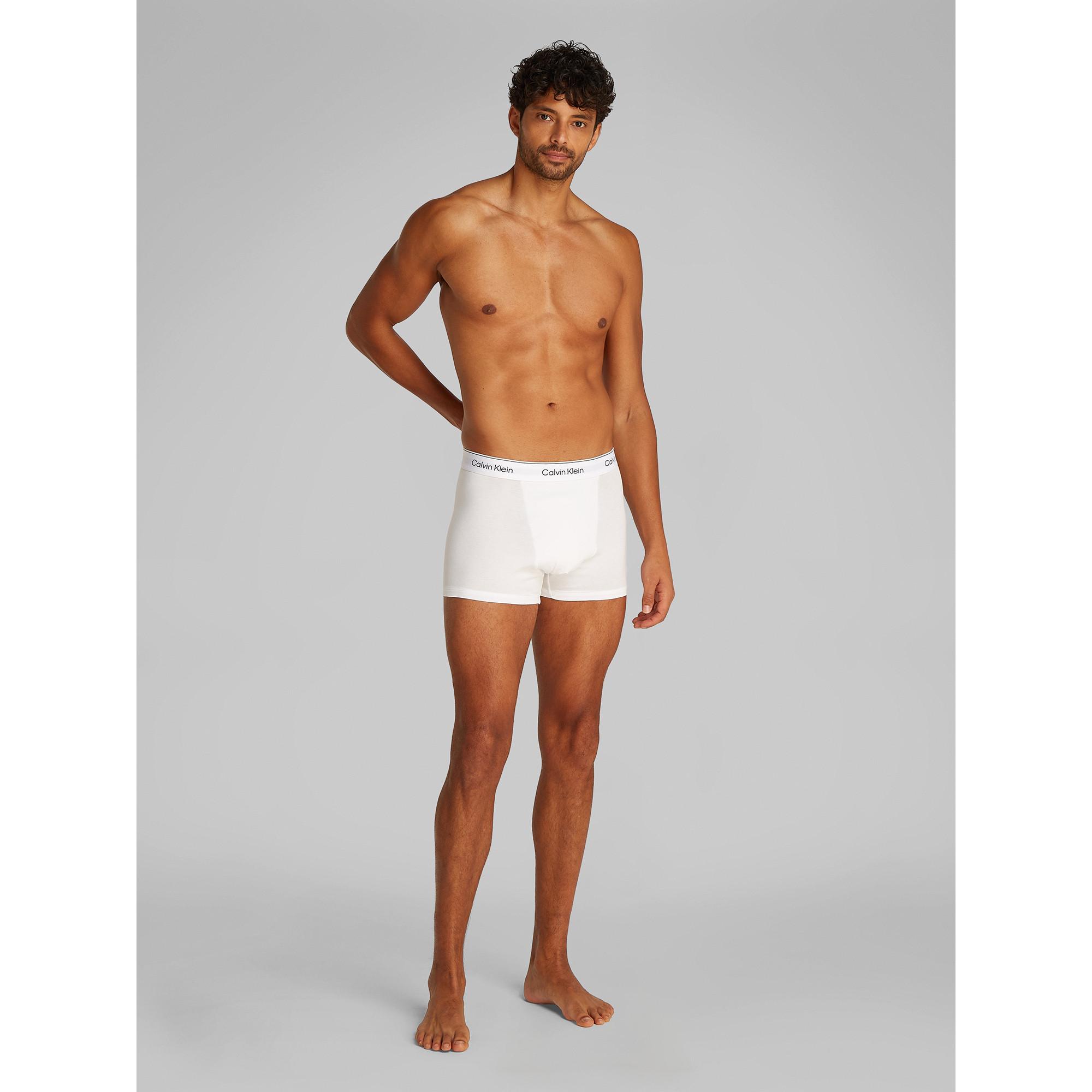 Calvin Klein RELAXED TRUNK 3PK Triopack, Pantys