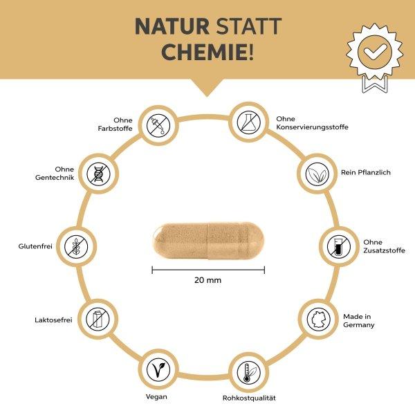 Eltabia Bio Flohsamenschalen Kapseln