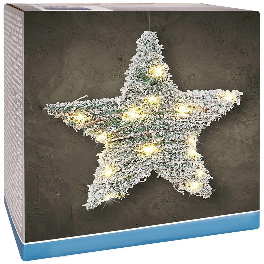 B2X Weihnachtsstern mit Schneeeffekt und 20 LED-Lichtern